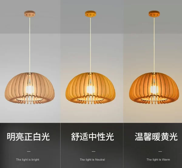 Restaurant chandelier Japanese retro bedroom chandelier creative homestay light (14)