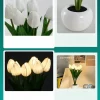 Tulip Night Lamp Imitation Flower Bundle Imitation Lamp Bedside Lamp Decoration Atmosphere Table Lamp (3)