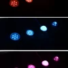 LED point light source secondary packaging outdoor waterproof rainbow light (6)